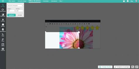 Overlay images with predefined animations! Modifier des images en ligne gratuitement : recadrer et ...