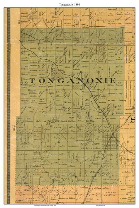 Tonganoxie Kansas 1894 Old Town Map Custom Print Leavenworth Co