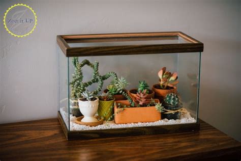 Easy Diy Terrarium From An Old Fish Tank Hometalk