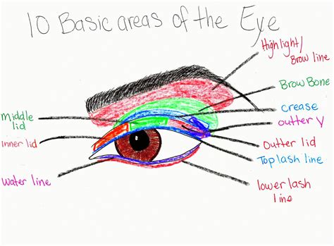 Pure Makeup Fun With Hannah: Eye Makeup Diagrams