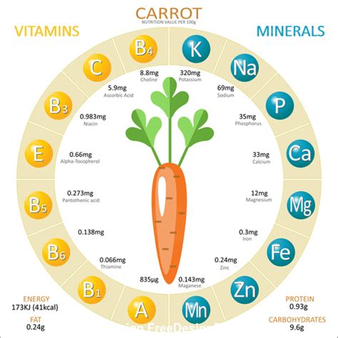 Use green planets nutrient icon guide to help you get the right plant fertilizer throughout the base nutrients provide all the necessary elements for plant growth such as nitrogen, phosphorus. Infographics about nutrients in carrot vector free download