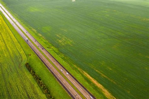 Premium Photo Top View Of The Sown Green In Belarusagriculture In