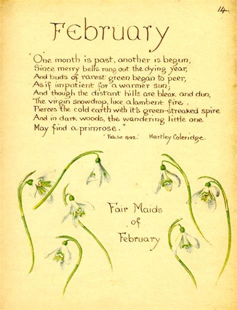 Nature Notes For 1906 ~ February Edith Holden Country Diary Of An