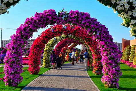 Miracle Garden Dubai People Blossoms Path Park Bows Hd Wallpaper