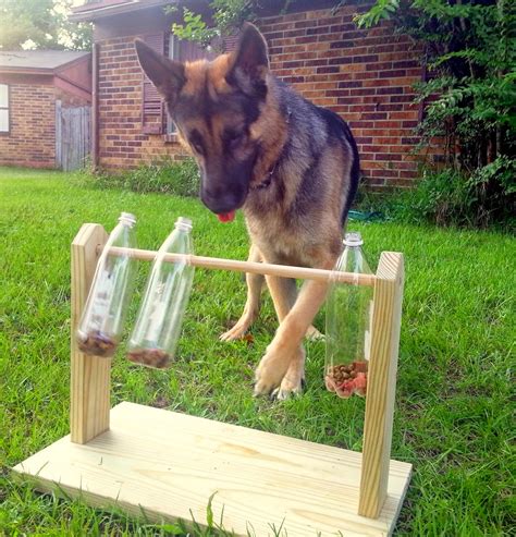 Diy Dog Treat Game Do It Yourself Ideas And Projects