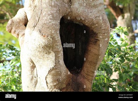 Gaping hole hi-res stock photography and images - Alamy