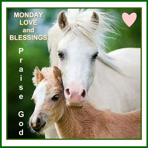 Pin By Rosa Well On Monday Blessings Horses Animals Beautiful