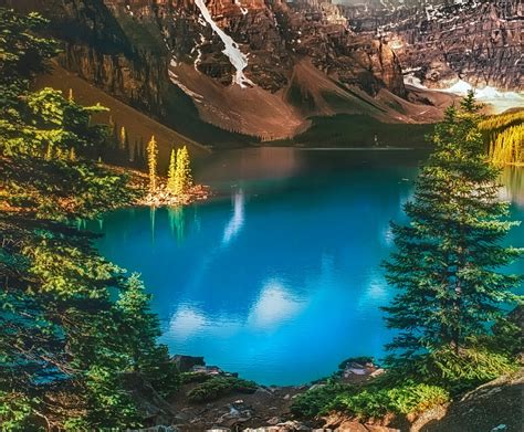 배경 화면 나무 경치 숲 산들 자연 반사 캐나다 터키 옥 여름 황야 못 밴프 국립 공원 분화구 호수
