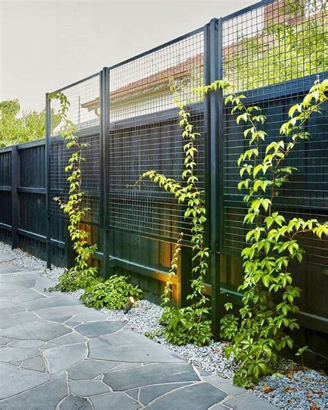 Melchef nature willow trellis expandable plant support plant climbing lattices trellis willow expandable trellis fence for climbing plants support 36x92 inch,double panel. Great idea for garden screen | Wall climbing plants ...