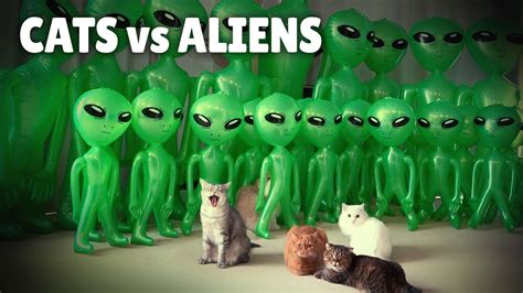 Alien Invasion Prank Cats Vs Aliens Kittisaurus Youtube