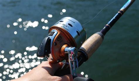 Best Closed Face Fishing Reel Top Reviews For