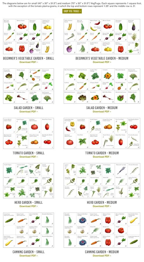 Please give a general location when asking questions. This site gives you suggested plots based on a 4x4 garden ...