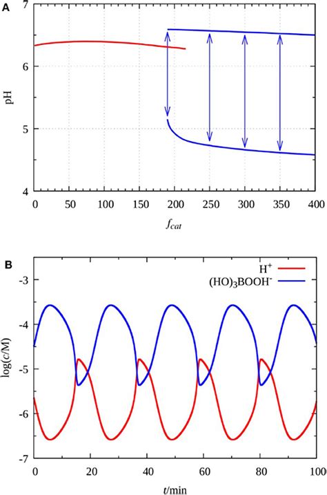 Frontiers | Chemical Oscillations With Sodium Perborate as ...