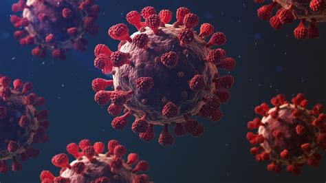 Covid Why Is Coronavirus Such A Threat Bbc News