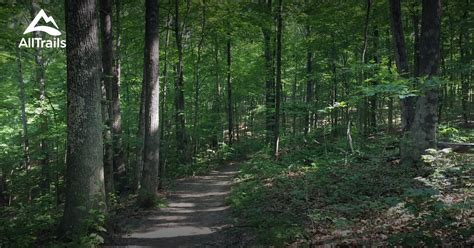 Best Trails In Hoosier National Forest Indiana Alltrails