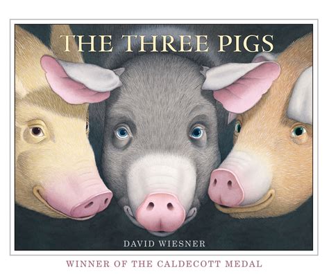 The Three Pigs By David Wiesner Penguin Books Australia