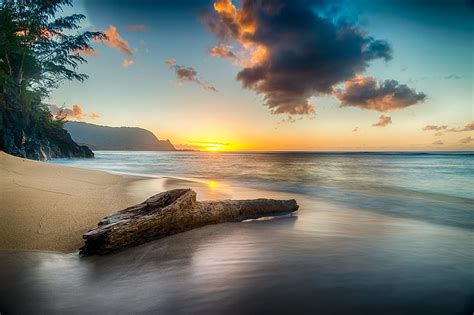Driftwood On Beach At Sunset On North Shore Of Kauai Nature Hd