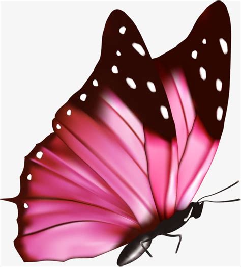 Https Kor Pngtree Com Freepng Pink Fresh Butterfly Html