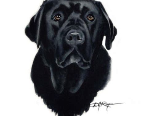 Black Lab Art Print By Watercolor Artist Dj Rogers Etsy Dog Print