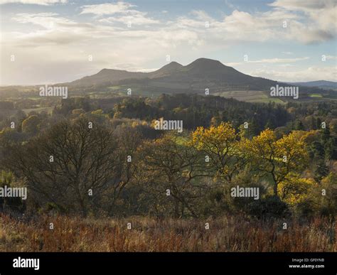 Eildon Hills From Scotts View In Late Autumn Scottish Borders