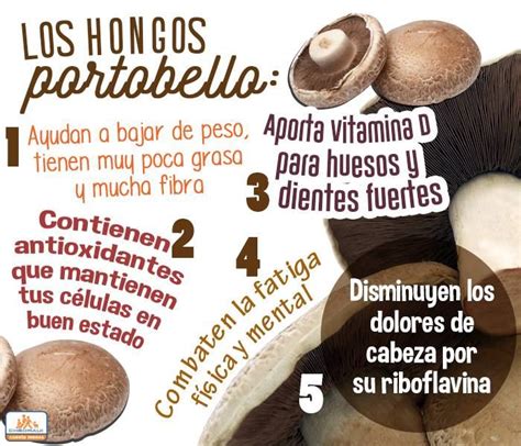 Propiedades Y Beneficios De Los Hongos Portobello Healthy Facts