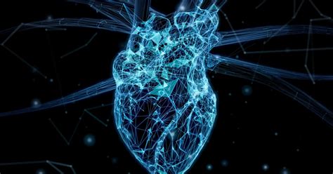 Qué Son Las Ceramidas Lipídicas Y Por Qué Podrían Predecir Problemas Cardíacos Infobae