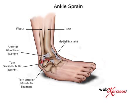 The meaning and symbolism of the word - «Ankle»