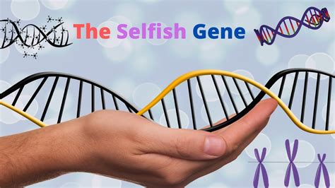 What Can Our Selfish Genes Teach Us