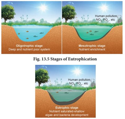 Eutrophic Lake Vs Oligotrophic