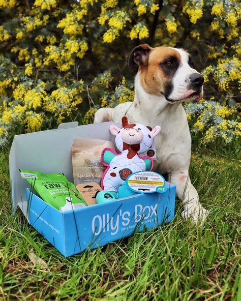 Subscription Dog Boxes 🐶 Off The Leash