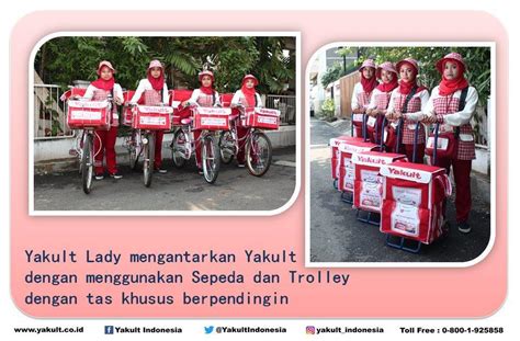 thailand yakult lady napatsarah kengphimai japan yakult lady rina enjoku. Lowongan Kerja PT Yakult Indonesia Persada | Karir.com