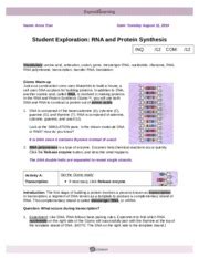 A reliable telephone answering assistance consists of really educated customer service representatives. 29 Rna And Protein Synthesis Gizmo Worksheet Answers ...