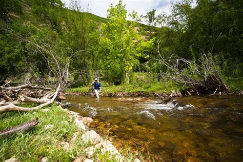 Fly fishing is one of the more active ways of catching a fish; 10 Things I Wish I Knew When Learning to Fly Fish | The ...
