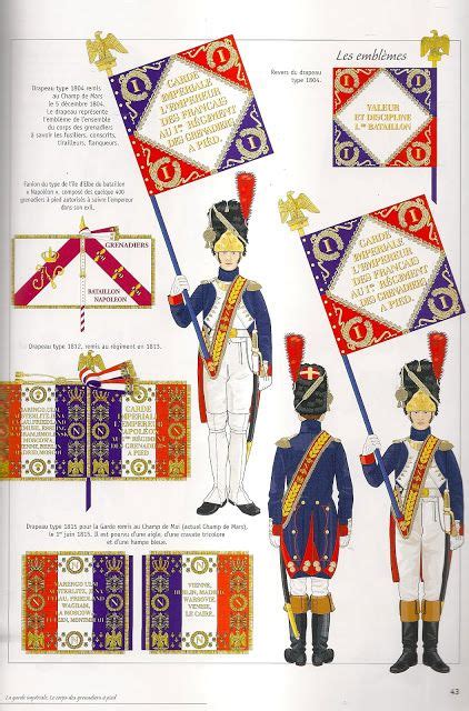 Napoleonic French Grenadiers Flags Guerras Napoleónicas Uniformes