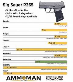 Sig P365 Model Comparison