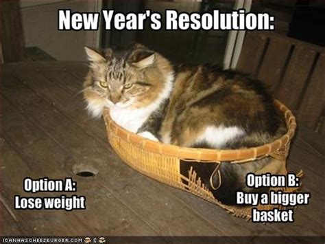 We did not find results for: Funny new years resolutions, fat cat - Dump A Day