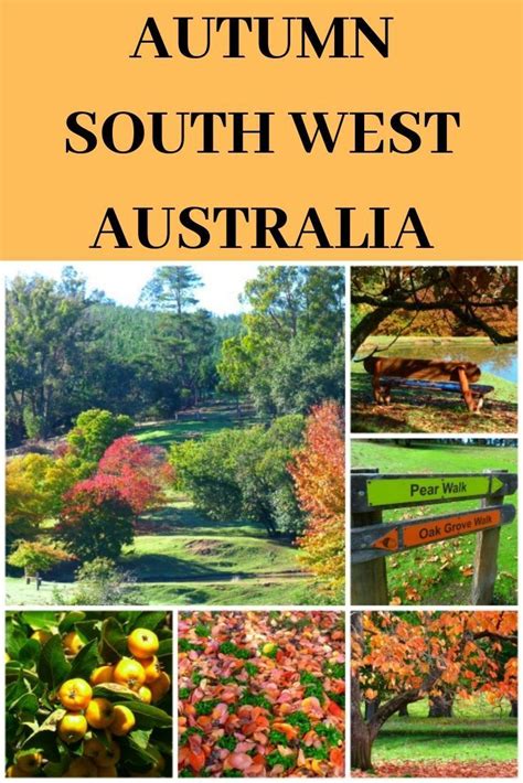 7 Things I Love About Autumn In South West Australia Zigazag