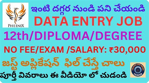 WORK FROM HOME DATA ENTRY JOB 2024|PHEENIX COMAPNY WFH JOB|PHEENIX DATA