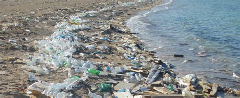 How To Solve The Plastic Pollution Problem In Our Oceans