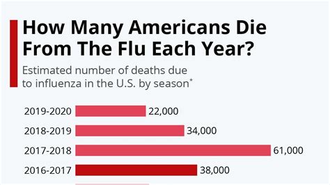 How Many Americans Die From The Flu Each Year Infographic