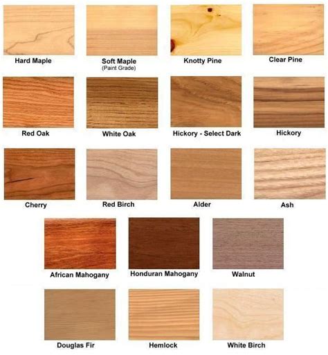 Common Wood Types Raw Wood Types No Stain Added Staining Wood