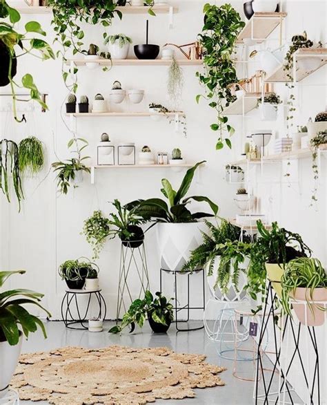 32 Office Plants Youll Want To Adopt Plants Indoor Apartment Plant