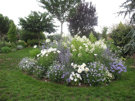 Roses Du Jardin Chêneland Création Dun Massif En Bleu Et Blanc