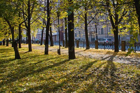 Beautiful Park In An Autumn Sunny Day Stock Photo Image