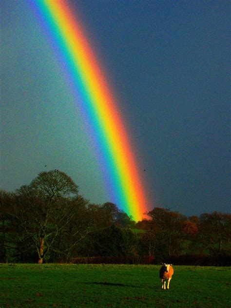 Rainbow Colours Enhanced Rainbow Pictures Rainbow Photography