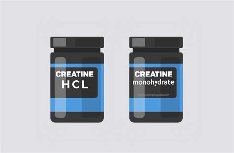 Creatine Hcl Vs Monohydrate What The Data Says About Which Is Better