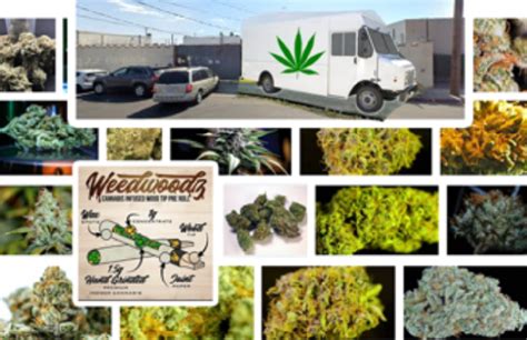 Legal Cannabis Growers And Connoisseurs And Hologram Usa Collaborate On Auction In Panorama City