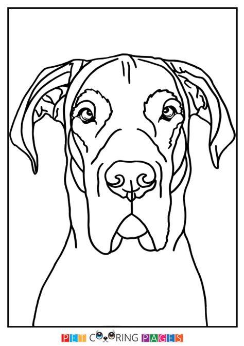 If your child loves dogs, introduce him to the great dane with this simple coloring page. Great Coloring Pages at GetColorings.com | Free printable ...