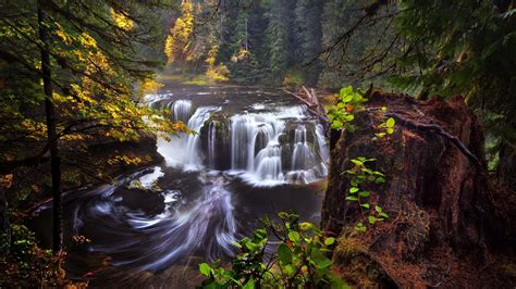 Usa California Washington Lewis River Waterfalls Autumn Forest