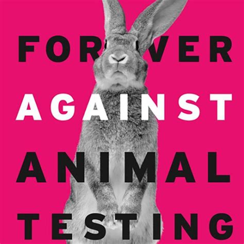 California Passes Bill That Bans All Animal Testing by 2020